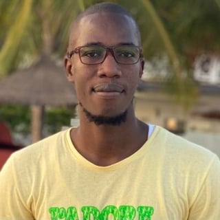 Ibrahima Ndaw profile picture