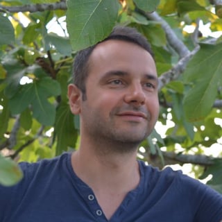 Mario Casciaro profile picture