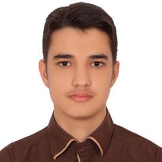 Ali Ayati profile picture