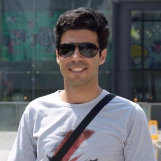 Mohammad Mehdi Habibi profile picture
