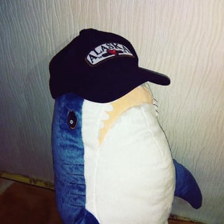 Sharkcoder profile picture