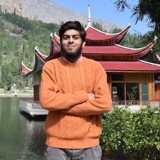 Muhammad Talha Umair Alim profile picture