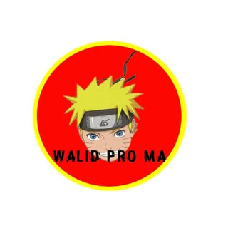 Walid Pro MA profile picture