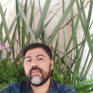 Javier Guerra profile picture