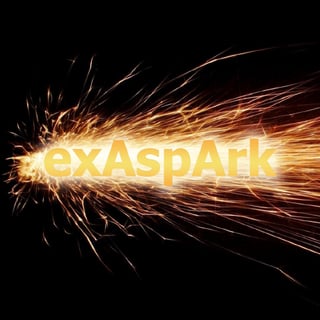 exAspArk profile picture