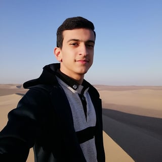 Mohammad Mohammadalian profile picture