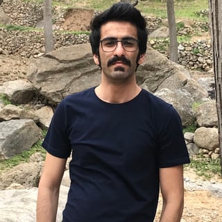 Mohammad Gholami profile picture