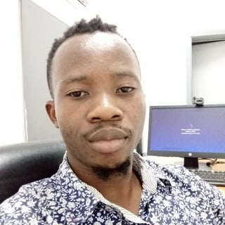Ndubuisi Ugwulo profile picture