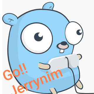 jerrynim profile picture