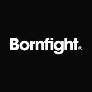 Bornfight profile picture