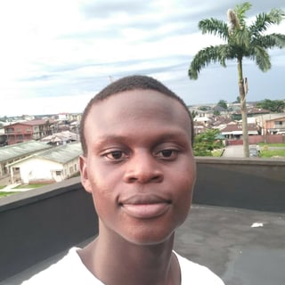 Martins Ngene profile picture