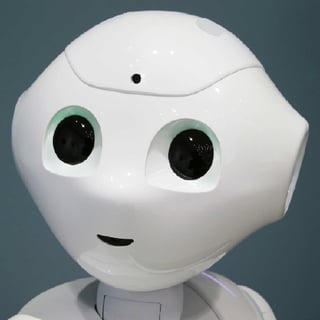 Robot Jelly profile picture