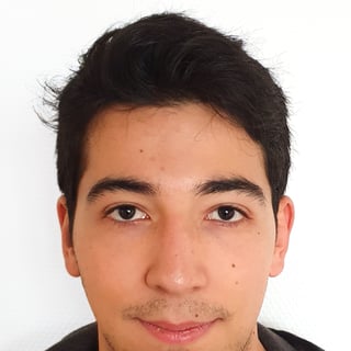 Luis Aceituno profile picture