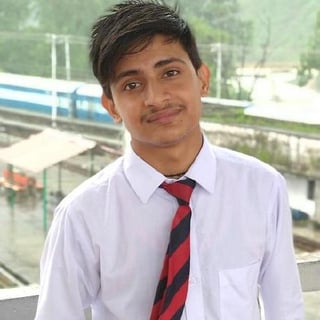 ankit-brijwasi profile picture