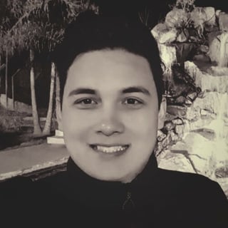 Felipe A. L. Pereira profile picture