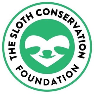 Sloth Conservation profile picture