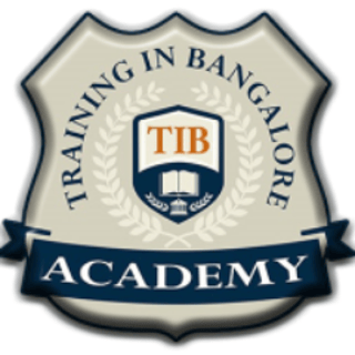 TIB Academy profile picture