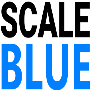 Scaleblue profile picture