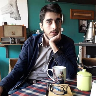 Farhad Mehryari profile picture