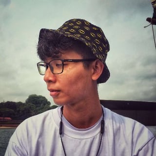Viet Hoang Nguyen profile picture