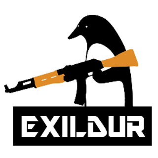 Exildur profile picture