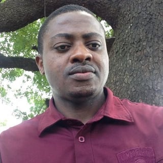 Ugochukwu Agbams profile picture