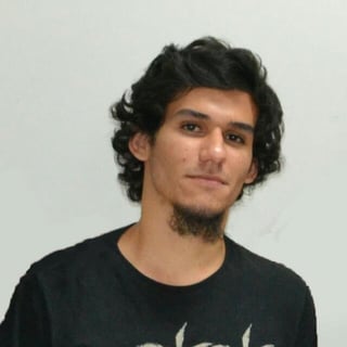 Bruno de Araujo Alves profile picture