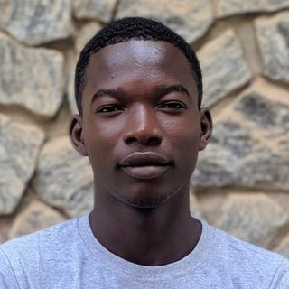 Felix Ayoola profile picture