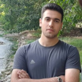 Mojtaba khodami profile picture