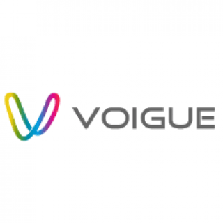 Voigue outsourcing services profile picture