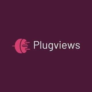 Plugviews profile picture