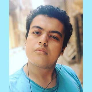 Mostafa Awamy profile picture