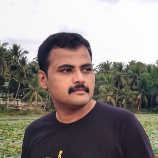 Vipin Narayanapillai profile picture