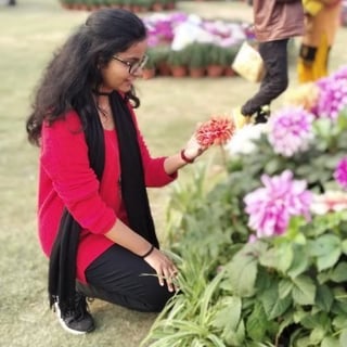 Swati Tripathi profile picture