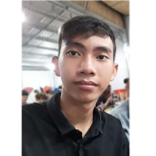 Nguyen Hoang Linh  profile picture