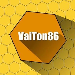 VaiTon profile picture