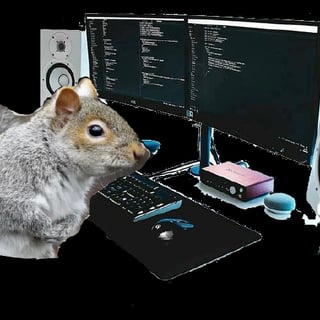 Squirrelcoding profile picture