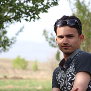 seyed mohamad reza bazrgari profile picture