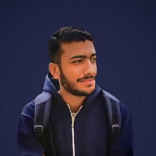 Riyad Elberkawy profile picture