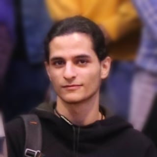 Amir M. Mohamadi profile picture