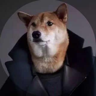 Tech Dog profile picture