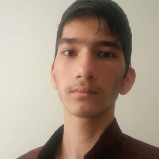 Amohammadi2 profile picture