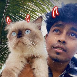 Muthu  profile picture
