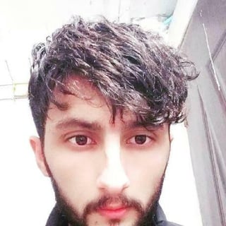Mujtaba Hussain profile picture