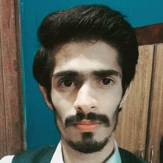 Dev Hamza profile picture