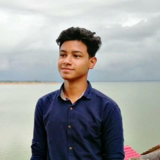 Mohammed Sajidul Islam profile picture