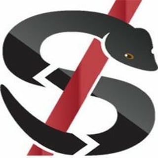 snake script profile picture