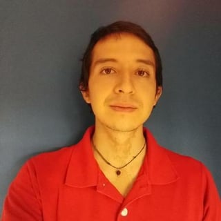 Luis Felipe Hernandez Mora profile picture