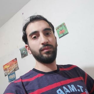 Mohsen Saniee (MS2) profile picture