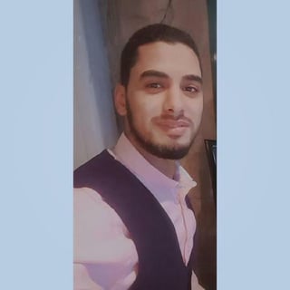 Mahmoud Abdelfatah profile picture